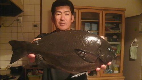 ootani1081226.jpg