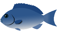 onaga
