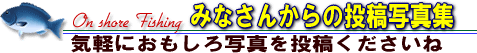 ���μ̿���