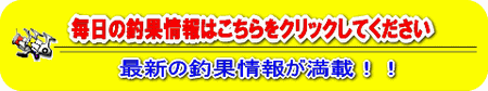 最新釣果情報