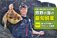 アオリイカのヤエン釣り。串本大島で大爆釣！。関西のつり