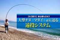 関西のつり、七里御浜、かご釣り初心者もOK。関西のつり、人気NO.記事り
